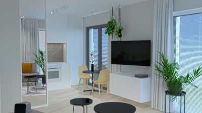 Salon z aneksem0003-min